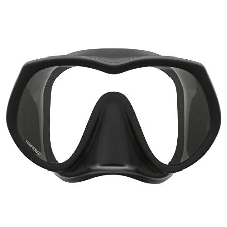 DGX Ultra View Frameless Mask