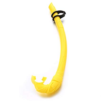 Lantusi Dry Snorkel with Comfortable Silicon Mouthpiece for Swimming, Scuba Diving, Snorkeling